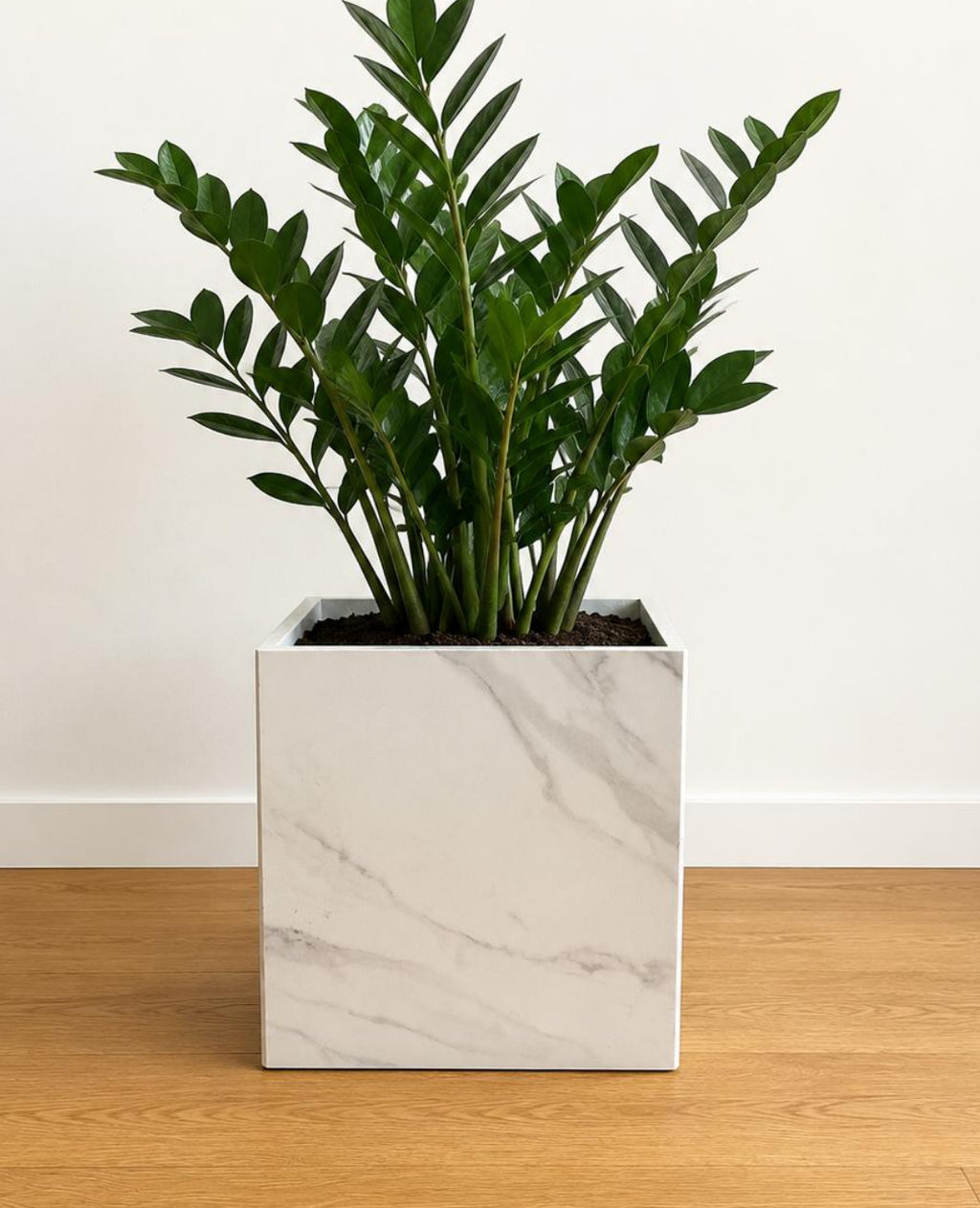 Poggio 30X30