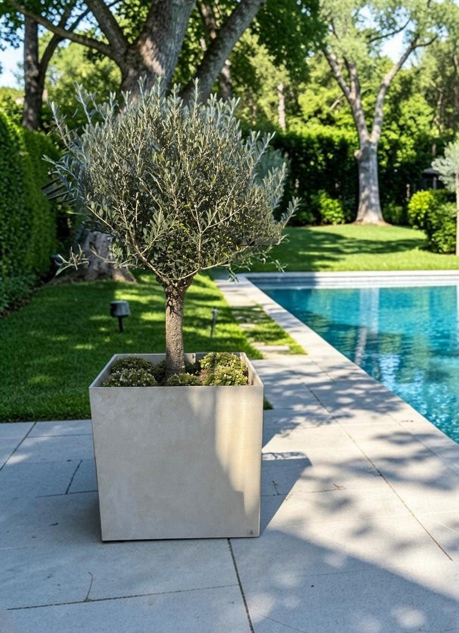 Poggio 50X50