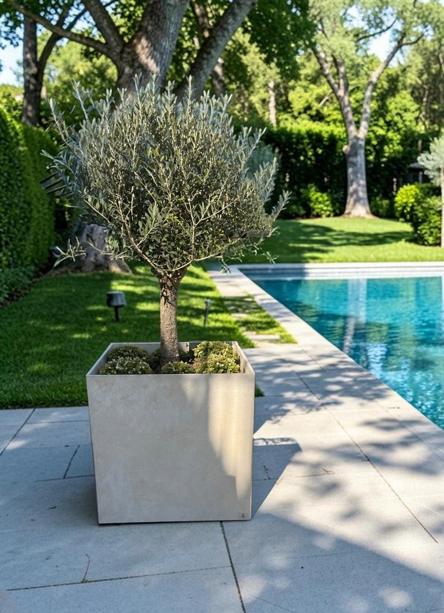 Poggio Nobilis 50X50